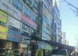 뇌교육